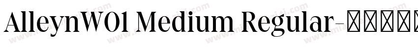 AlleynW01 Medium Regular字体转换